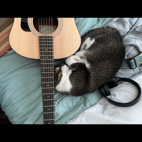 Meet your Posher, Vera - Picture 5 of 6